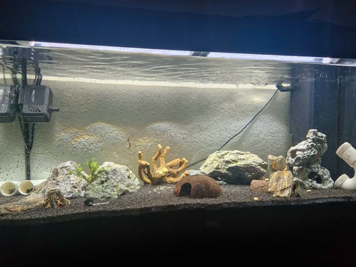 Aquarium 160l inkl - aquarium,
