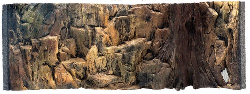 Aquarium rückwand - aquarium,