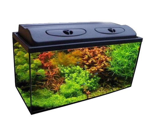 Aquariumset komplettset - aquariumset,